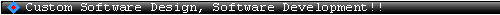 Custom Software Design, Software Development, Database Administration